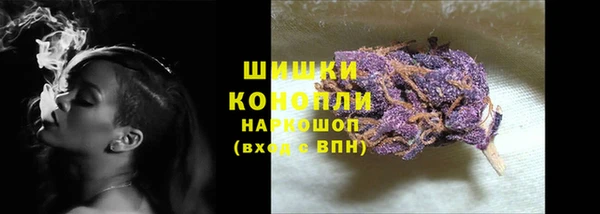 гидропоника Медногорск