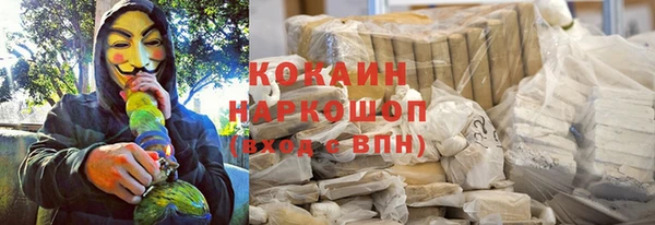 гидропоника Медногорск