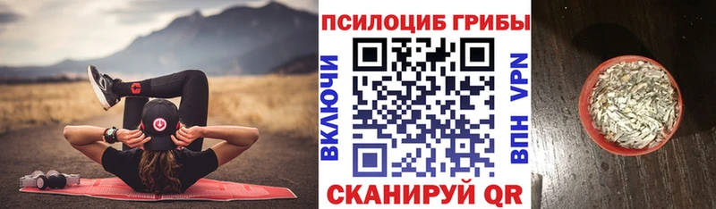 Псилоцибиновые грибы GOLDEN TEACHER  Новоузенск 