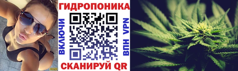 Шишки марихуана сатива Новоузенск