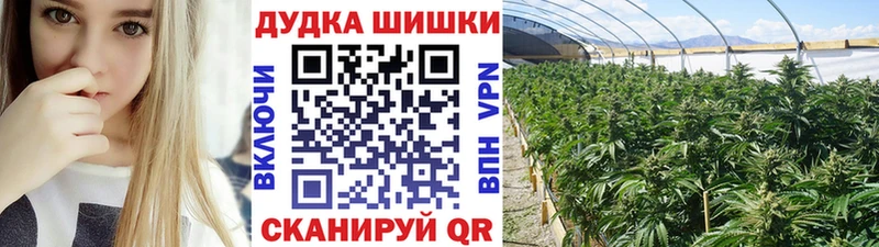 Канабис SATIVA & INDICA  Новоузенск 
